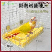 ⛺鸚鵡透氣窩 鳥窩 清涼鳥巢 九九小鸚鸚鵡睡床鐵藝鳥窩吊床平臺睡窩睡覺休息站臺跳臺 鸚鵡吊床 鸚鵡睡窩 鸚鵡吊床 鸚鵡床