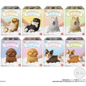 🌟隔日到貨🌟現貨 狗狗軟膠公仔盒玩 柯基 柴犬 MOCCHIRI KORORIN