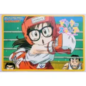 鈴鈴的賣場/1998年 阿拉蕾 動漫墊板/怪博士與機器娃娃/鳥山明/瑪格麗特/IQ博士/丁小雨/日雜附錄/動漫周邊