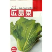 【蔬菜種子S034】廣島菜~~日本廣島名產，外型為小白菜與芥菜的綜合體，口感似小白菜，定植至採收約40天。