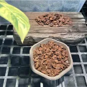 紐西蘭樹皮｜Orchiata｜輻射松熟成｜斑啾植選｜觀葉介質｜雨林｜甲蟲｜蕨類｜鹿角蕨介質｜花燭｜蘭花介質｜盆栽｜龜背芋