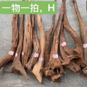 *🔥臺灣紫柚木杜鵑根天然沈木造景裝飾樹根蝦木珊瑚南美枝條精品魚缸