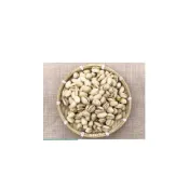 (店+)【YOYO 悠悠水族】悠悠兩棲爬蟲特寵店 開心果 美國綠仁 鸚鵡零食 寵物堅果 寵物零食 堅果 天然堅果