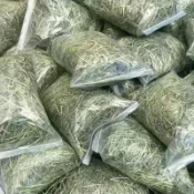 進口牧草 提摩西二割 百慕達 燕麥草 甜小麥草 苜蓿草 提摩西草一割 高纖維磨牙兔子龍貓豚鼠