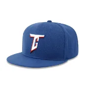 【CPBL】台灣犬 歐告 Team Taiwan 亞冠賽藍 中華隊 12強 平沿 全封帽【ANGEL NEW ERA】