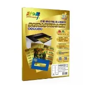 【彩之舞】進口雷射黃金膠質防水標籤A4-8格圓角-2x4/10張/包 U4269GD-10x2包(貼紙、標籤紙、A4)