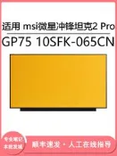 現貨適用msi微星沖鋒坦克2 Pro GP75 10SFK-065CN 17.3寸（LCD）屏幕更換