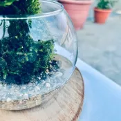 圓球玻璃盆(含溪砂) I 4吋 I 加購配件
