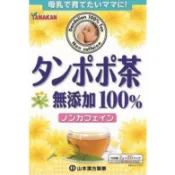 【DOKODEMO】YamamotoKanpo 山本漢方蒲公英茶，100% 無添加，20 克 x 20 袋