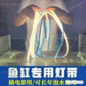 【臺灣優選】魚缸燈 水族燈 水草燈 古法魚缸魚池專用水下防水LED燈帶IP68實心硅膠燈條自粘24V戶外 IWTN