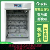 樂購優選 {台灣公司貨 可打統編}全自動工業孵化機可孵化鴕鳥蛋鴿子孔雀卵化機家禽養殖智能孵蛋器