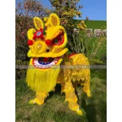 【整套雙人】舞獅道具 南獅醒獅 獅頭套裝 成人舞獅服裝 舞龍舞獅 獅頭 醒獅擺件