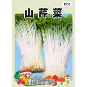 【野菜部屋~】P05 日本山芹菜種子1.8公克(約800粒) 又稱“鴨兒芹“ ~