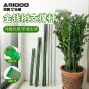 金錢樹支撐杆花盆支架杆室內瓜果花卉植物園藝花架爬藤固定捆綁杆