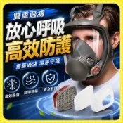 現貨隔日達🌟全罩式防毒面具 噴漆面具 防煙面罩  3m防毒面罩 防毒口罩多功能防毒面罩 濾毒面具 6800防塵防塵面具