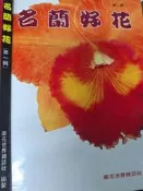 《 名蘭好花》蘭花世界【小熊家族】
