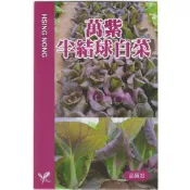 【野菜部屋】F17 萬紫半結球白菜種子1.7公克(約750顆) 紫色蚵仔白生長快葉面寬厚~