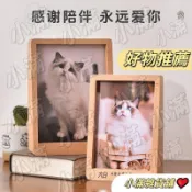 客製化寵物陪伴紀念相框可愛實木相框擺臺定製雕刻文字免費沖洗貓咪狗狗照片寵物紀念相框寵物相框