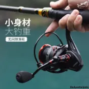 *店鋪上新*丨[免運促銷] 無間隙捲線器12+1軸 20007000型號 速比50:1/47:1 紡車式漁輪遠投輪