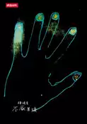 【灰熊iREAD】不厭其煩 陳綺貞