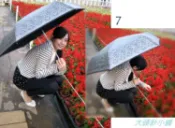 【大頭針小舖】巴洛克蕾絲色膠自動開收傘2690－La petty a loup/三隻小熊/晴雨傘/抗UV傘/防風傘/折傘/防曬