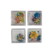 (店+)【Ching.Co】盒裝乾燥花#1~#4 ( 花飾品 美甲飾品  美甲用品 美甲工具 美甲)