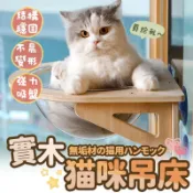 【喵的咧選物】貓吊床 太空艙吊床 玻璃吸盤貓窩 透明太空艙 貓窩 貓床