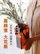 協貿國際日用品生活館 簡約方形玻璃花瓶ins風透明北歐水培瓶擺件插花器客廳彩色干花瓶
