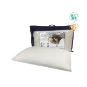 (店+)愛的小舖- Reverie 標準舒適乳膠枕 歐式斜邊 65公分 X 40公分 X 14公分