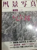 《風景寫真 2013/3.4月 雙月刊》 高見文化【小熊家族】