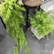 【超前热卖 高品质 强烈推荐】仿真蕨類植物手感軟膠假草厥葉綠植室內插花布景仿真植物造景裝飾 64H0