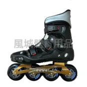 【風城體育用品】休閒競速鞋（最大4*90mm)競速鞋.直排輪.路溜hungta.Takino.powerslide免運中
