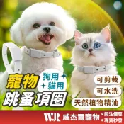 (店+)【威杰爾寵物】驅蟲項圈 跳蚤項圈 精油項圈 狗狗項圈 貓項圈 寵物項圈 貓咪項圈 驅蟲 頸圈 狗項圈 驅蟲頸圈【Y010】