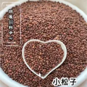 ［帶殼小松子］鸚鵡零食｜零嘴｜堅果｜松鼠