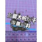 藍眼大帆異型 專用飼料