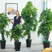 協貿國際日用品生活3館 仿真植物發財樹大型綠植室內落地盆栽客廳裝飾擺設假塑料假花盆景