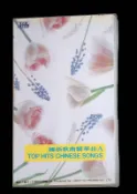 早期 台灣 VHS 錄影帶 保存狀態如圖 ～～ 優必勝 國台語  伴唱帶