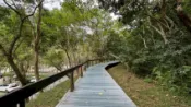 【Lion Travel 雄獅旅遊】花蓮旅遊｜最高折$300｜太魯閣得卡倫立霧溪.懷舊新城山海小鎮.峽谷度假晶英酒店2日｜大人囝仔.好享住奢華｜台中出發 出發地點：台中