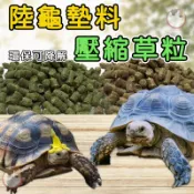 陸龜墊料 壓縮墊料 牧草粒 墊料 牧草粒 環保墊料 提摩西 燕麥 草粒墊料 陸龜 草食性動物墊料 陸龜食物 兔子飼料