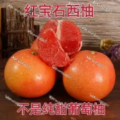 台灣現貨 葡萄柚種子（50粒）四季高產 西柚種子 朱欒 柑橘類 台灣平地可種 陽台盆栽 庭院樹 觀果植物 清新香氣 自種