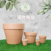 【肉圃園】翠筠國際盆2吋/2.5吋/3.5吋/4.5吋 矮國際盆2.5吋/3.5吋/4.5吋/5吋/6吋 陶盆 多肉 觀
