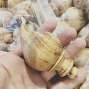 《睿寶兒》重油血龍木 大頭Q筆 血龍木文昌筆 血龍木筆 帝王木