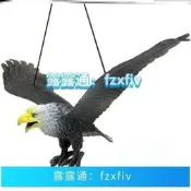 【哆啦A夢的百寶屋】趕鳥驅鳥神器嚇鳥家用陽臺果園菜園戶外防鳥仿真老鷹模型軟膠大雕