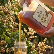 【CHYUANFA 泉發蜂蜜】龍眼花蜜1800g 純蜂蜜 (蜂蜜 野花蜜 龍眼蜜 伴手禮糕點)