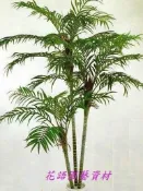 ◎花語人造花資材◎人造樹＊黃椰子樹＊適合居家擺設~櫥窗~店面~會場佈置等