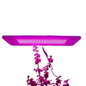 【JIUNPEY 君沛】LED20W薄型植物燈版 20瓦吊掛式植物燈 紅藍光譜(植物生長燈 植物燈)
