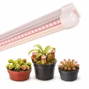 【JIUNPEY 君沛】2入組 T8  2呎12.5W加強型光譜植物燈管(植物生長燈)