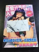 ．私人好貨．二手．28．漫畫．早期 新視界【愛愛什麼的人家都沒有做過 C1741】中古書籍 插畫畫集 角色叢書 自售