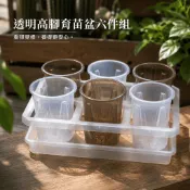 透明高腳育苗盆六件組｜斑啾植選｜透明托架｜透明集水盤｜蘭花盆｜觀葉植物｜多肉育苗｜扦插盆｜控根盆
