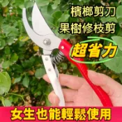 🔥臺灣出貨🔥A級紅白剪 檳榔剪刀 新款進口材質剪刀 園林花藝修剪 樹枝剪刀 強力粗枝剪 果樹花卉剪枝鉗 AAWZ MNZ